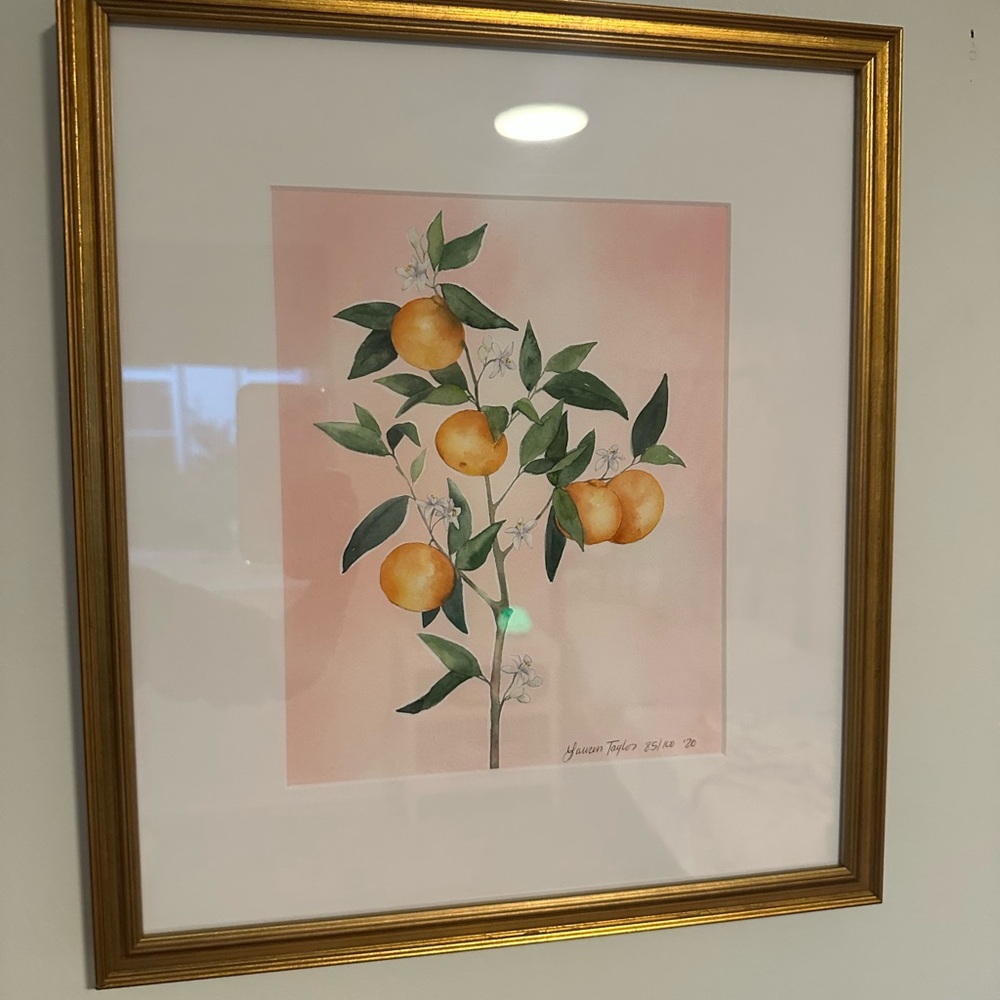 Framed Botanical Art Prints (2)